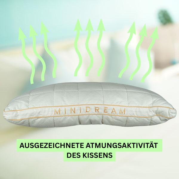 MINIDREAM